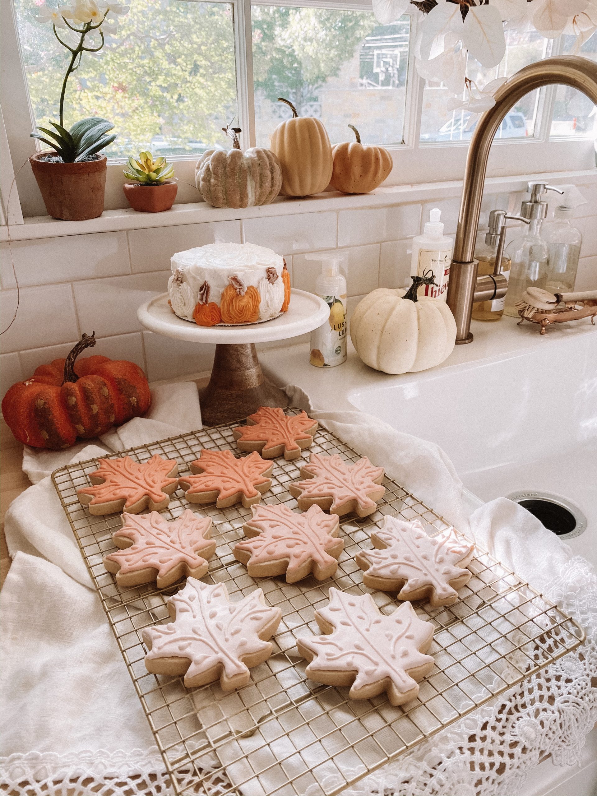 fall and halloween 