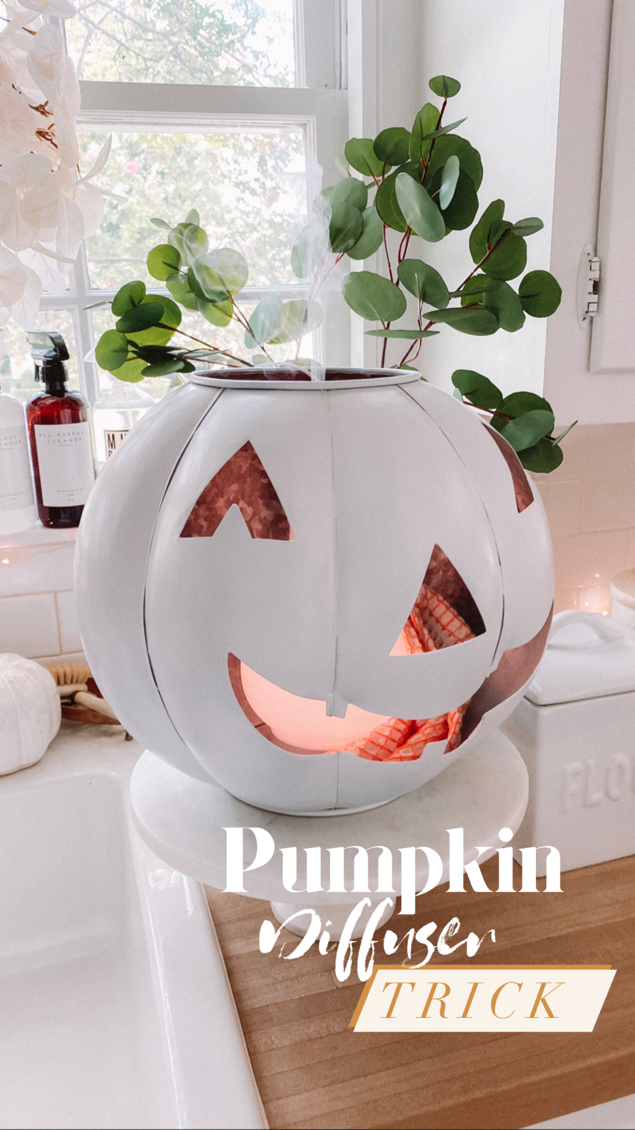 fall and halloween aesthetic