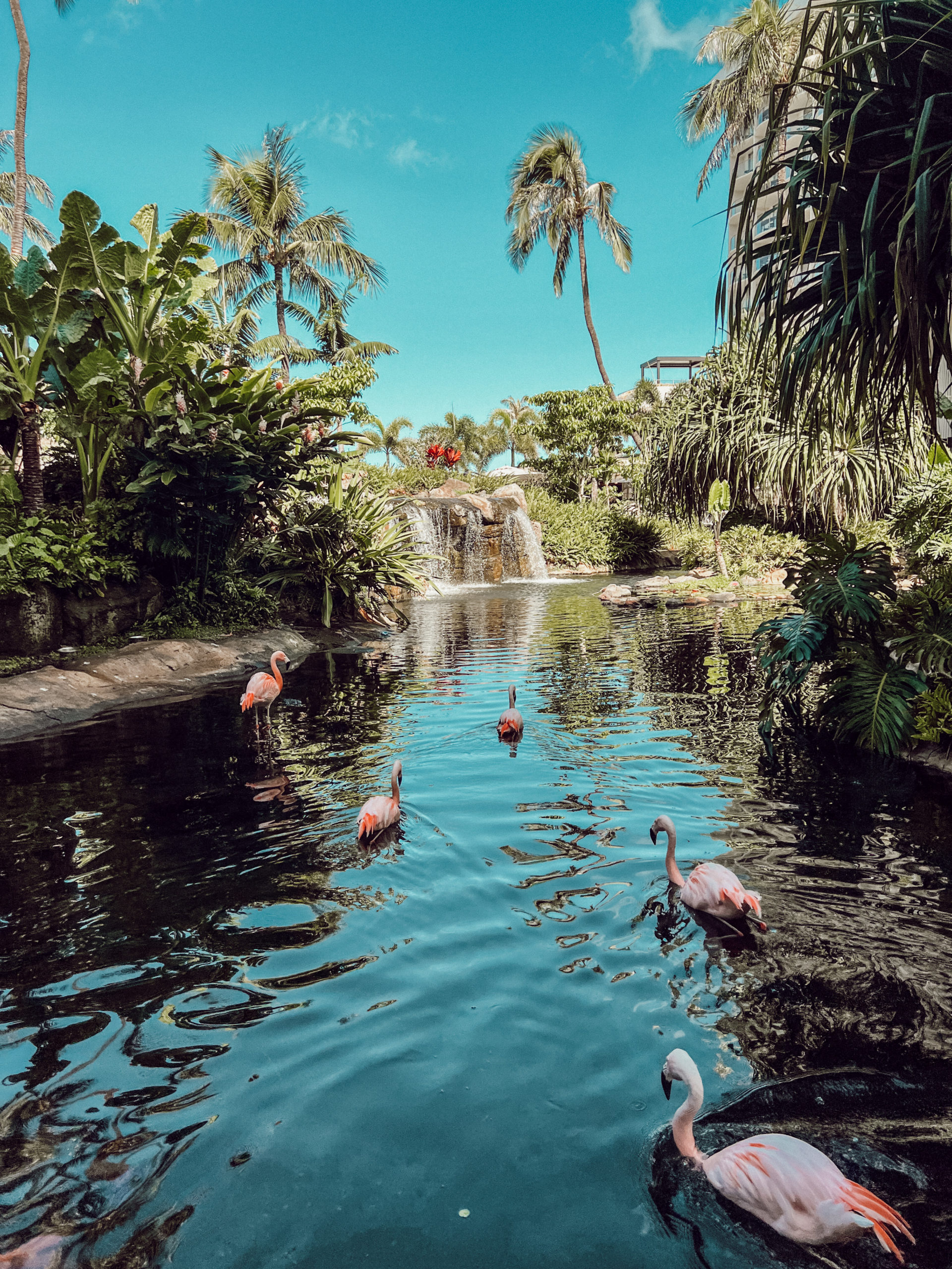 best maui airbnb