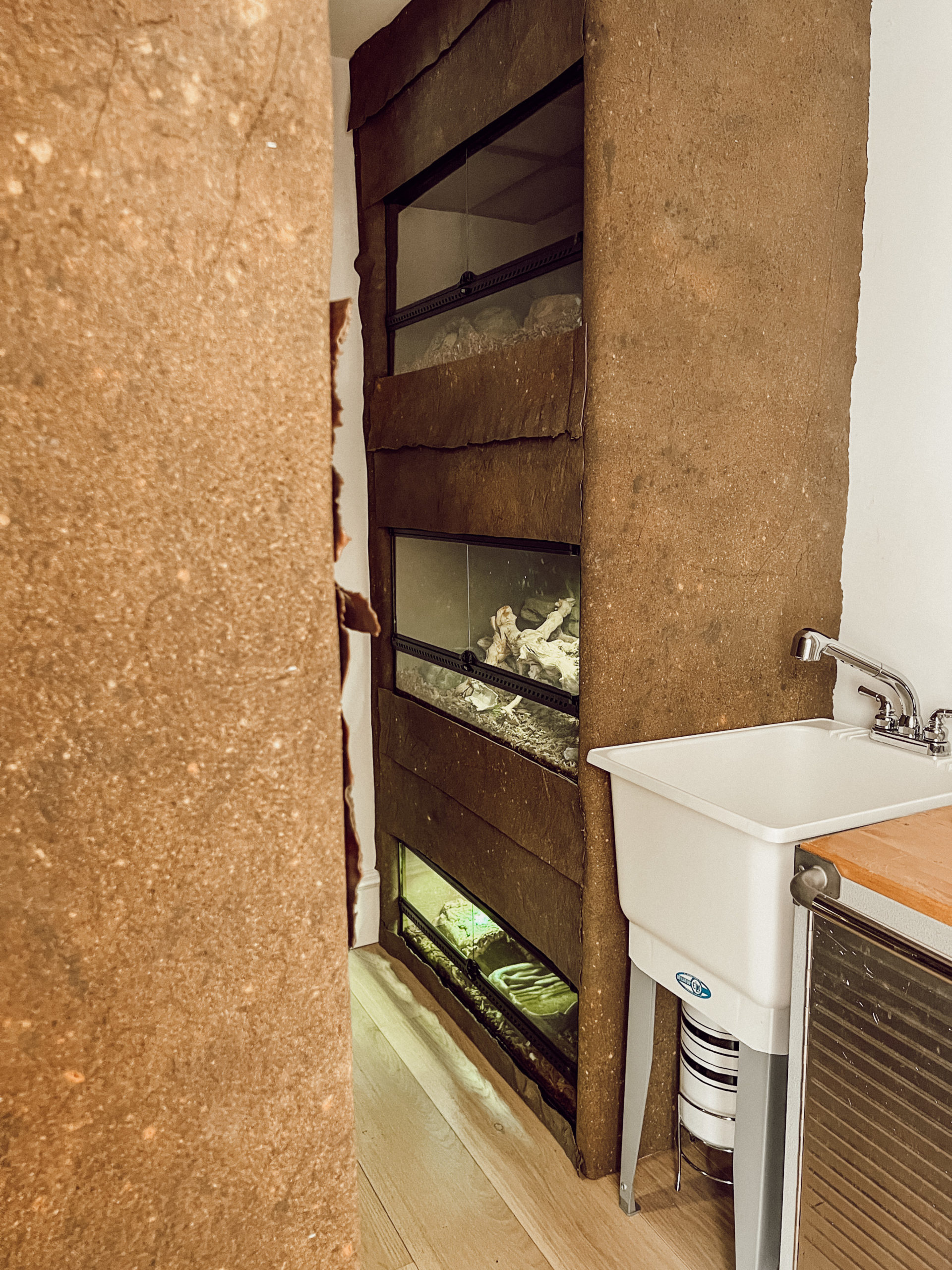 reptile room setup ideas