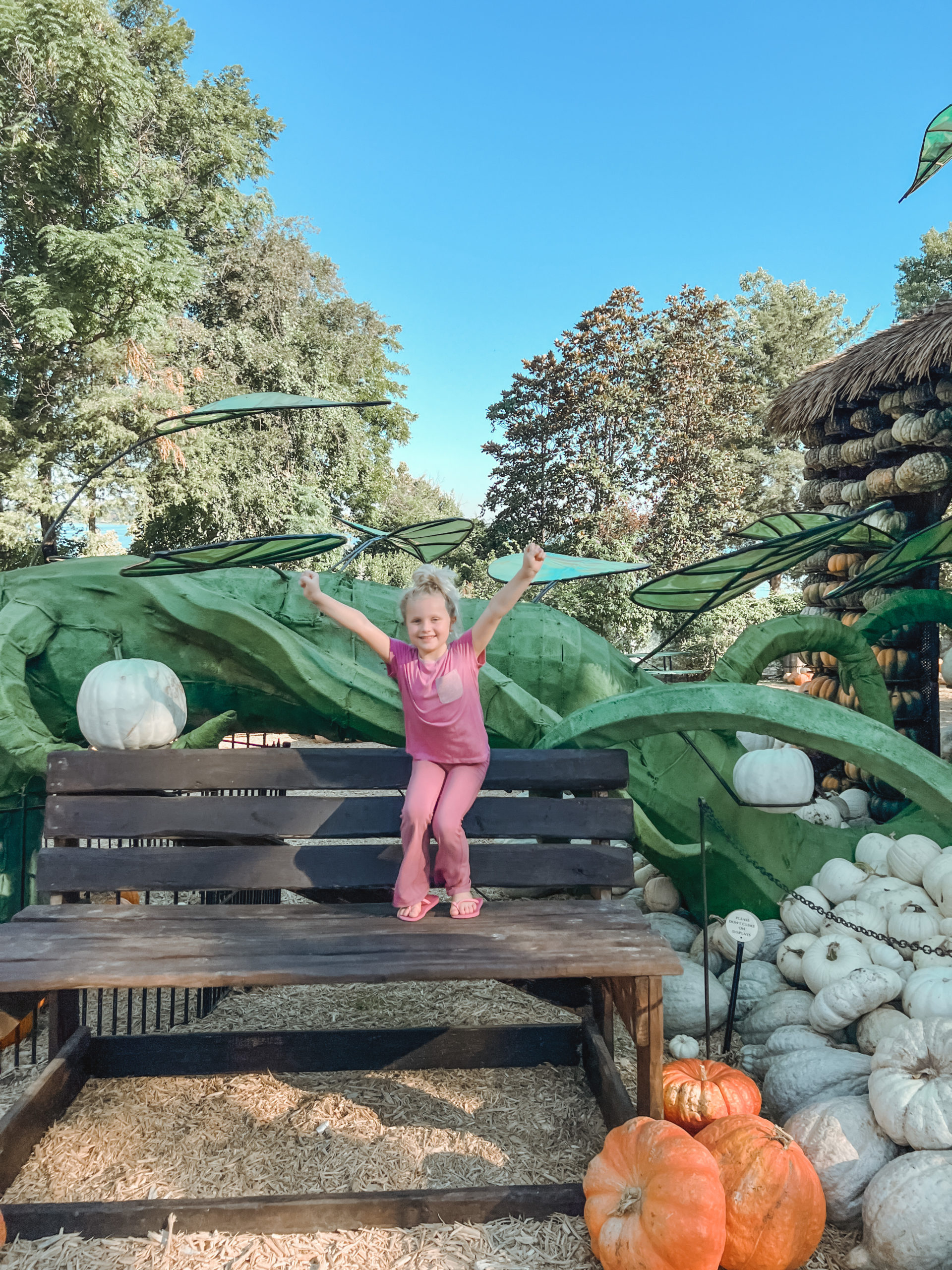 pumpkin patch aesthetic