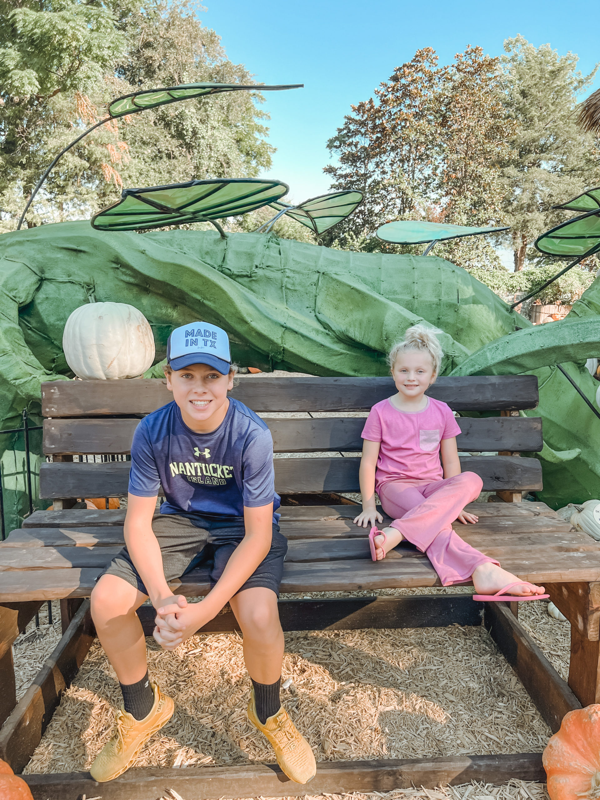 pumpkin patch magic