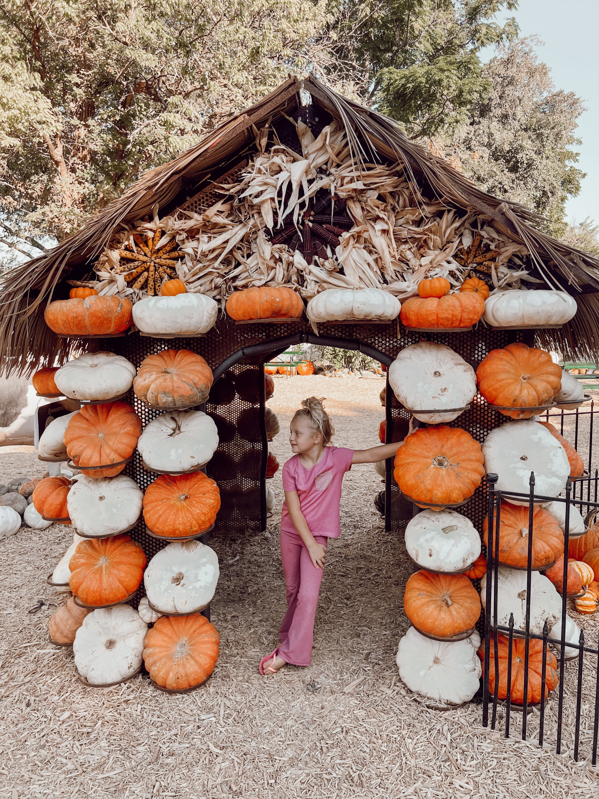 pumpkin patch outfit