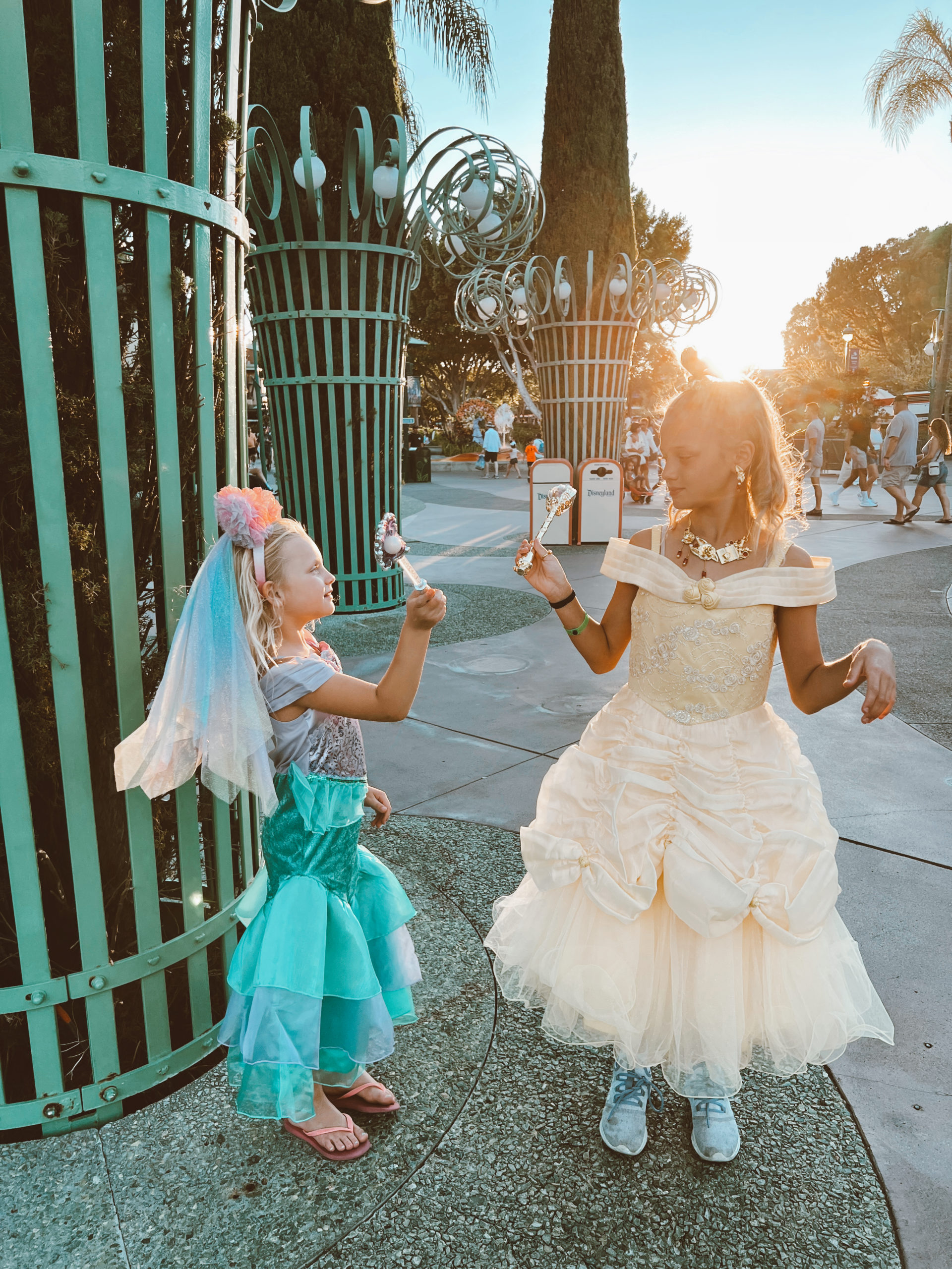 disneyland travel tips