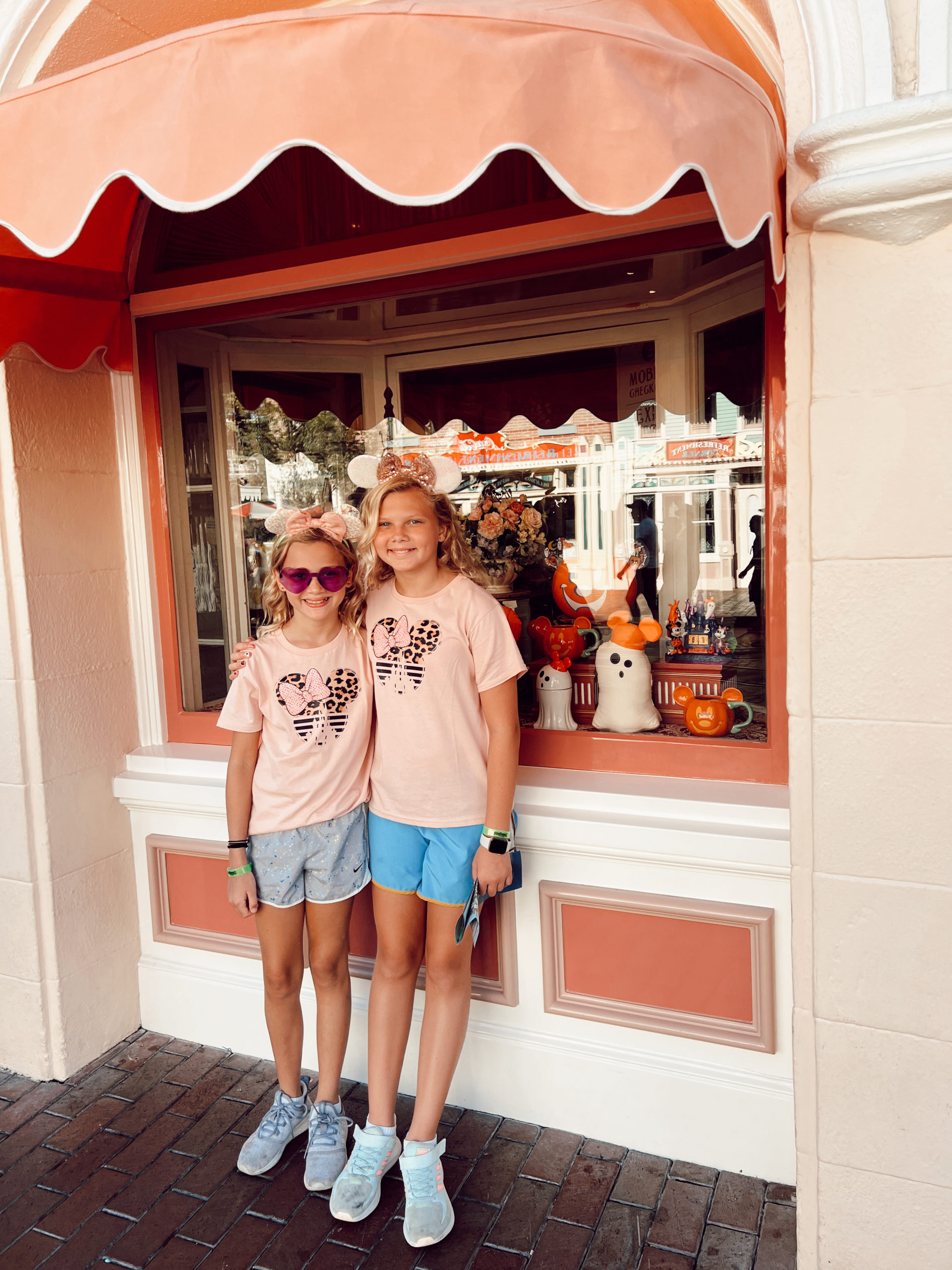 disneyland travel tips 1