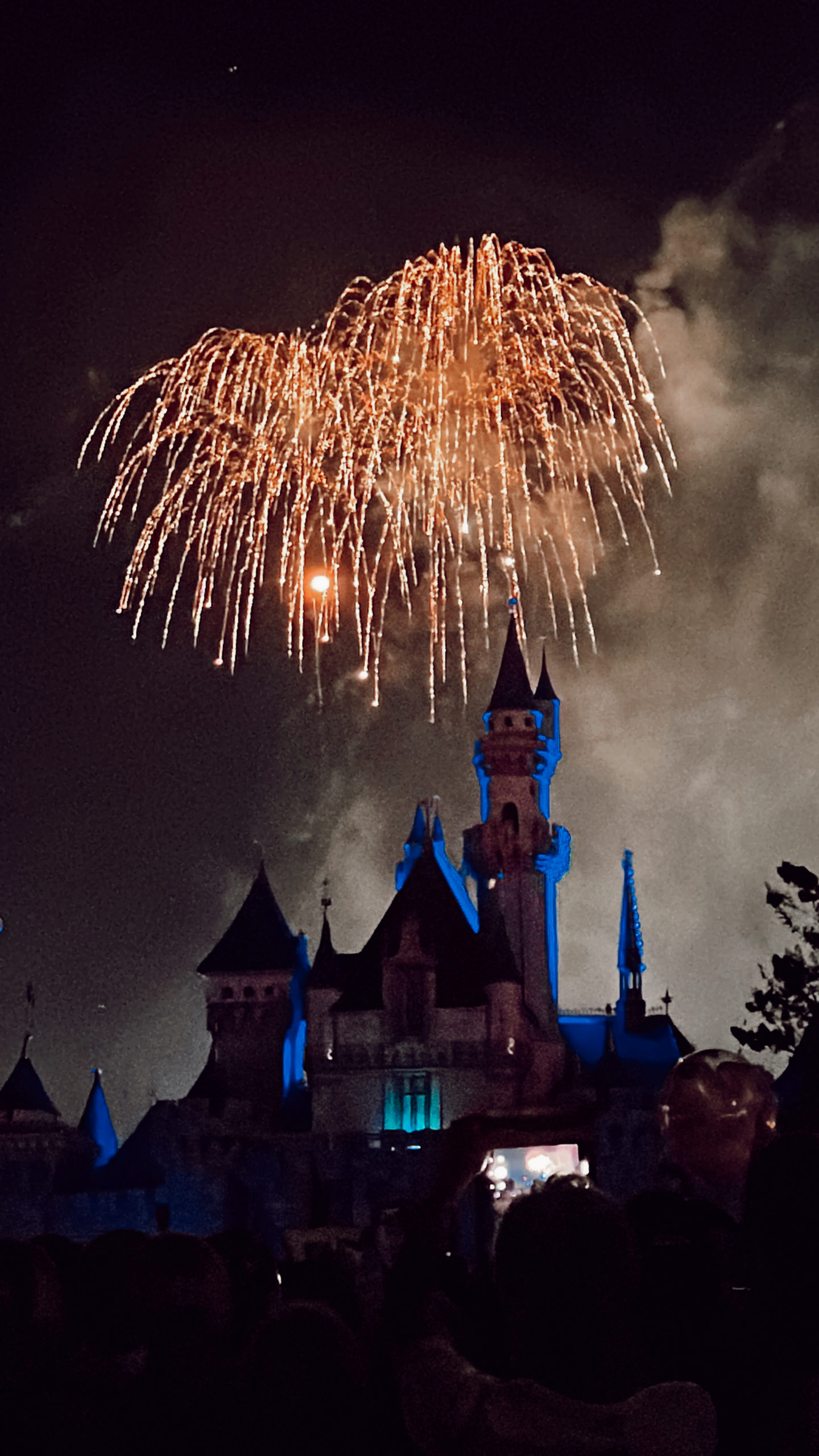disneyland travel tips the wiegands