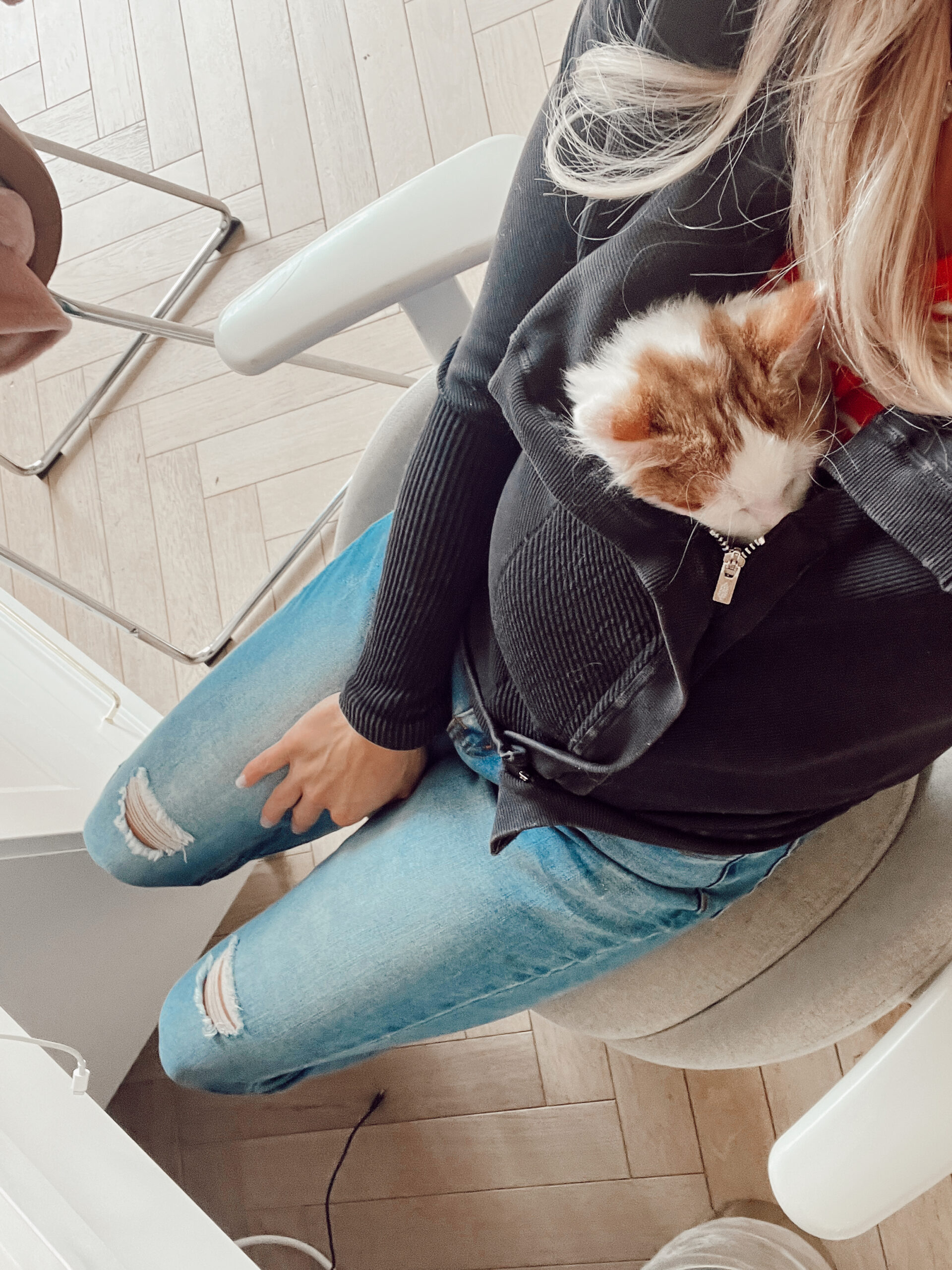 new kitten checklist