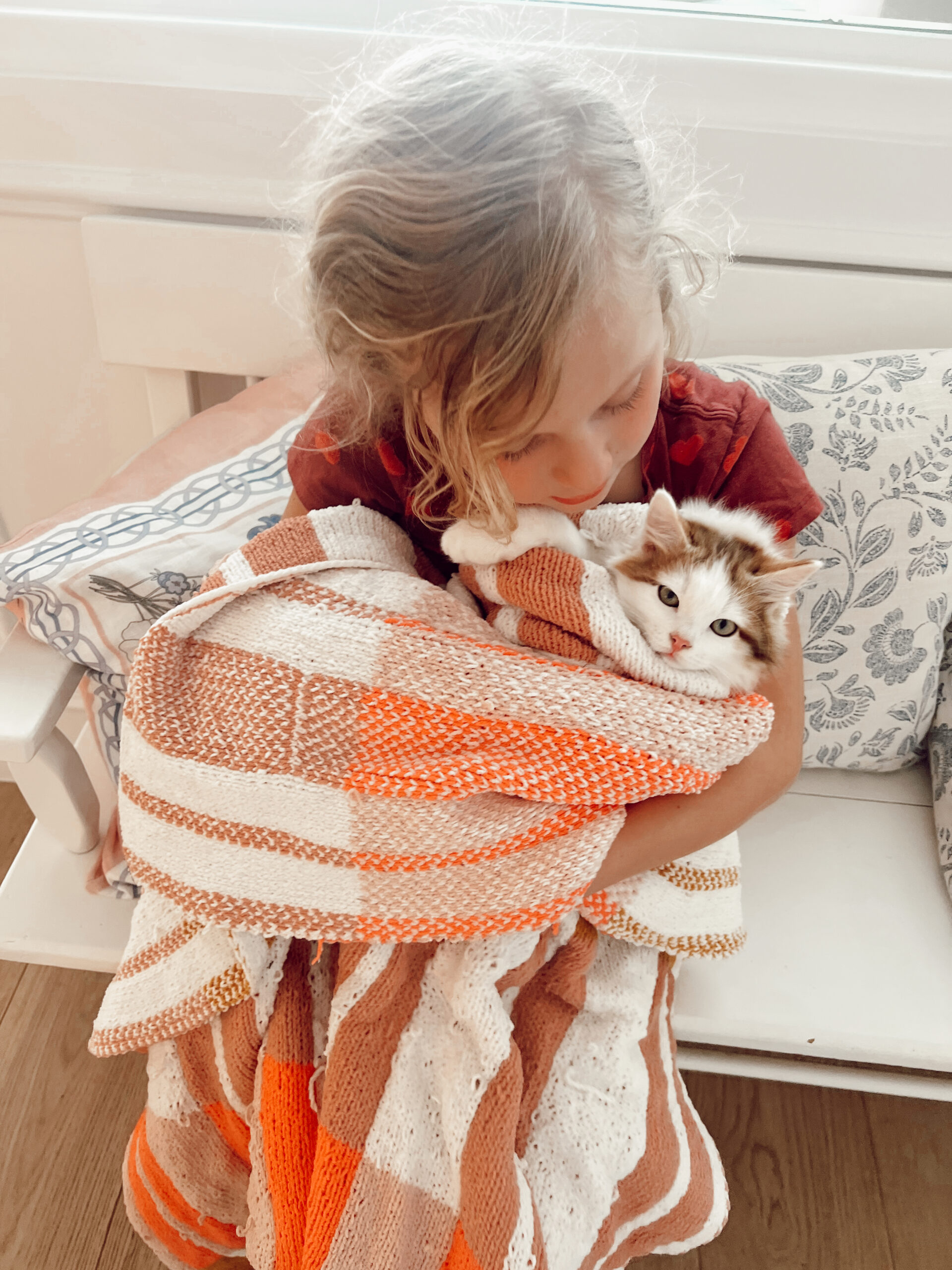 new kitten tips training