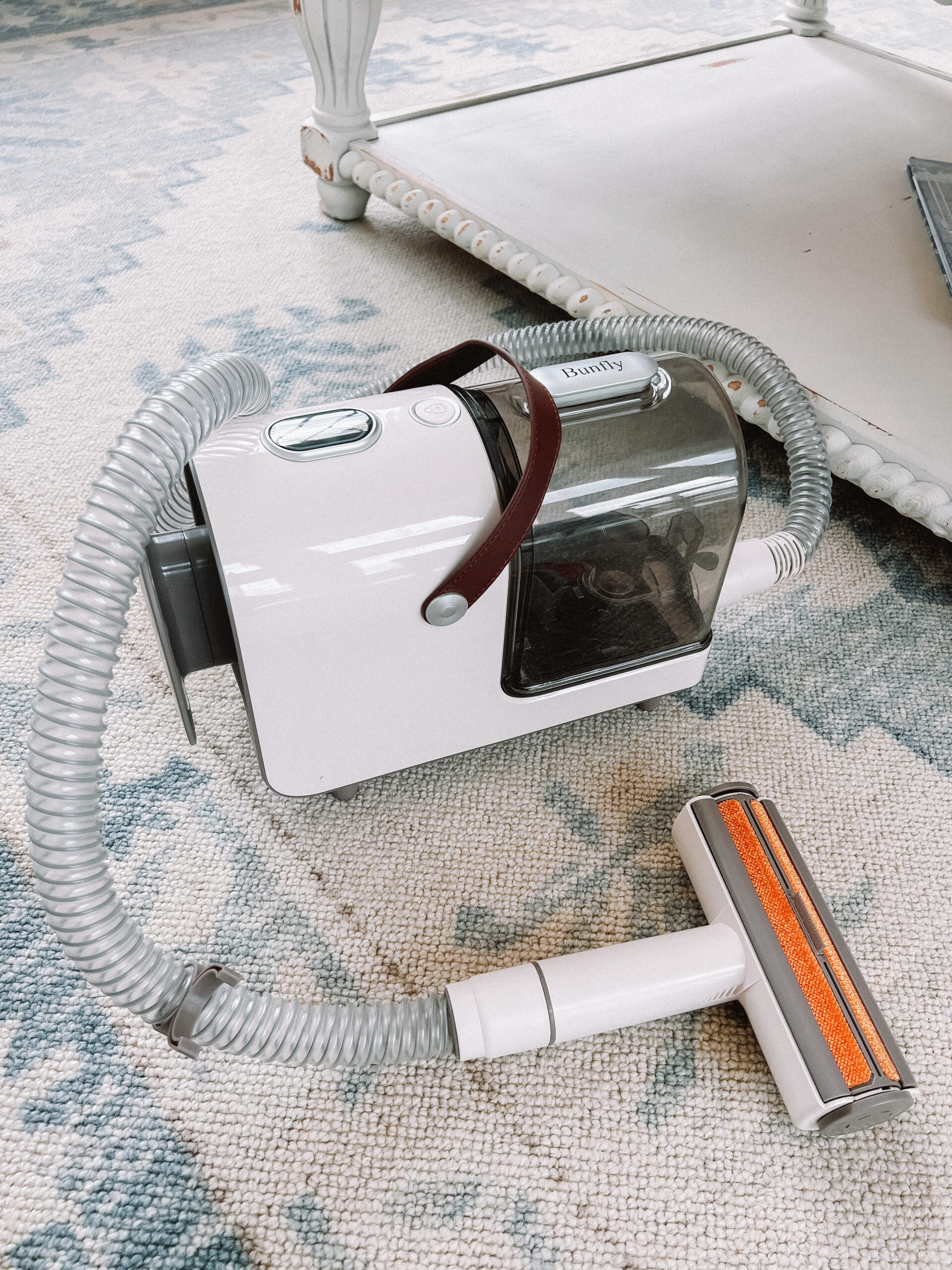 amazon pet must haves 5