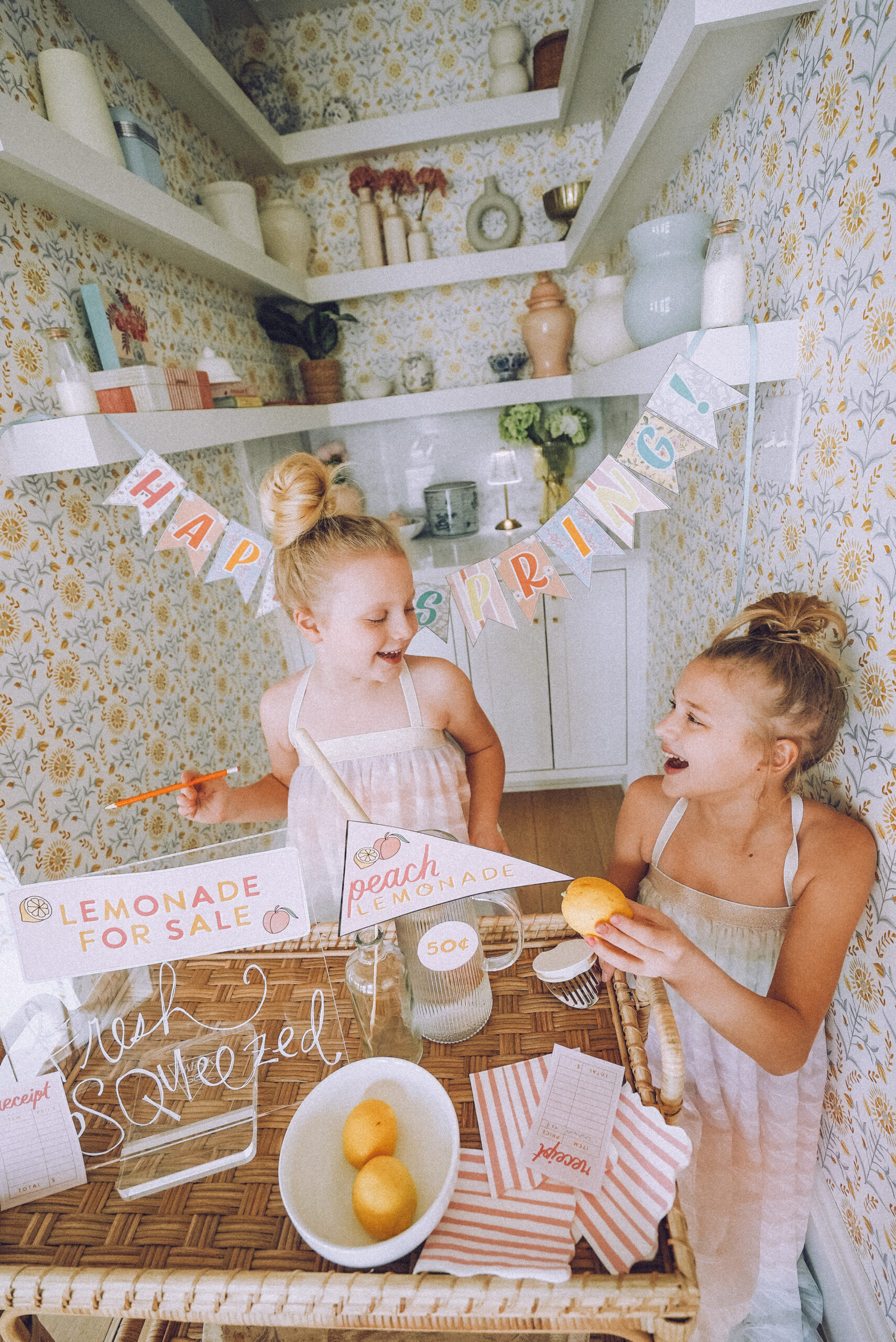 lemonade stand ideas