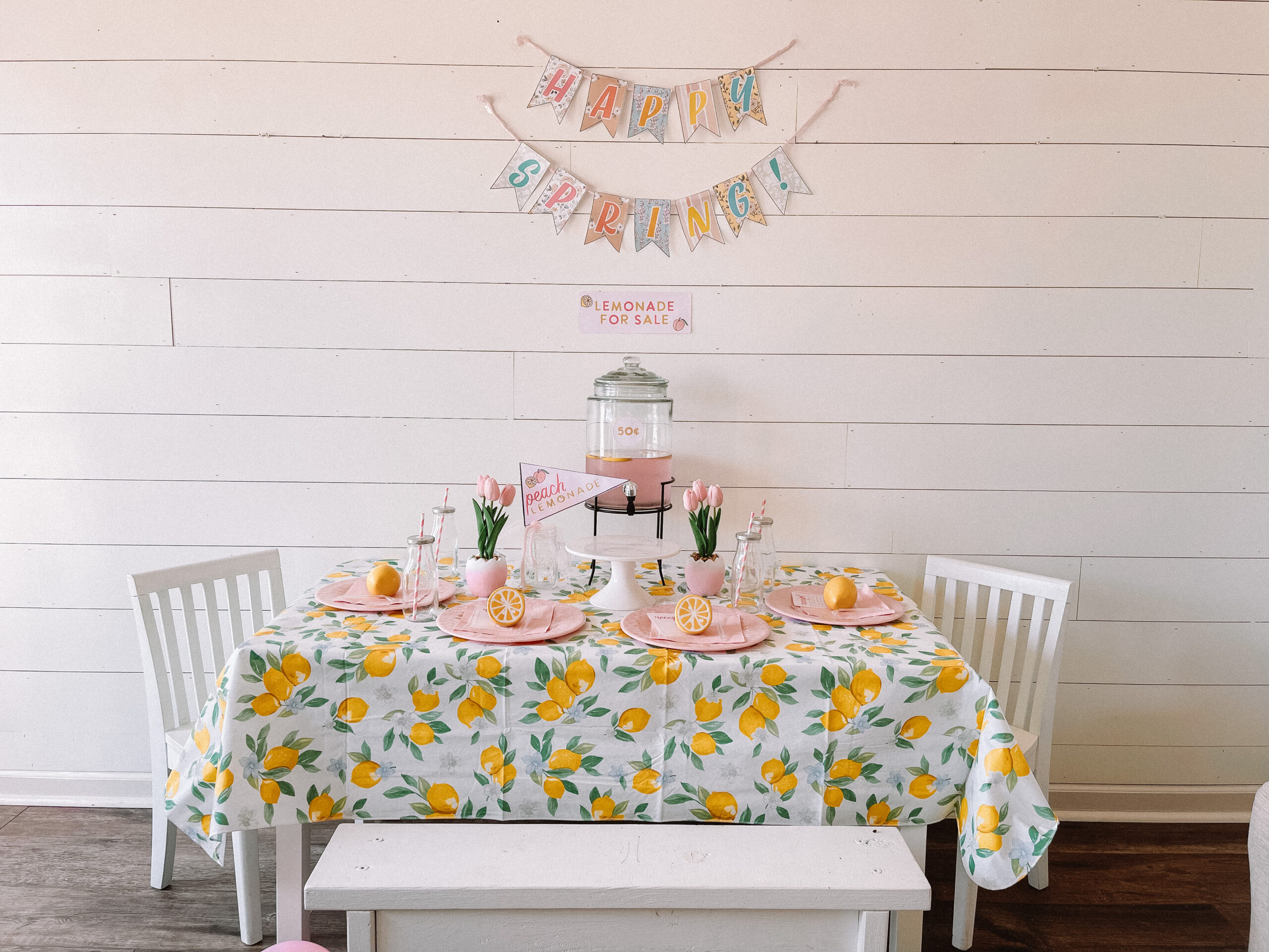 lemonade stand party